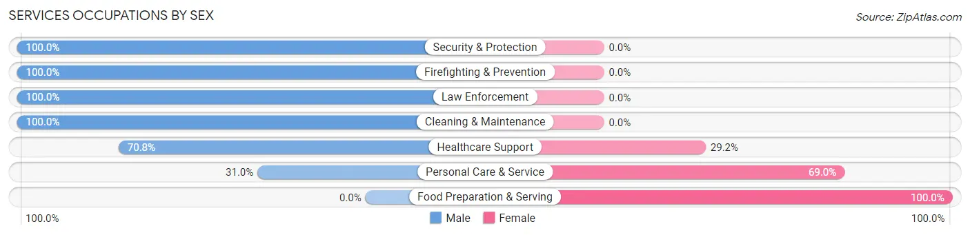 Services Occupations by Sex in Zip Code 03841