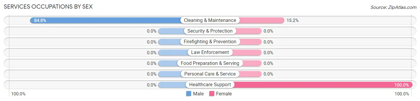 Services Occupations by Sex in Zip Code 03845