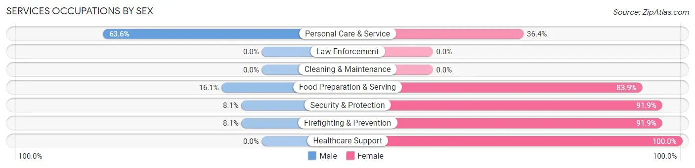 Services Occupations by Sex in Zip Code 03846