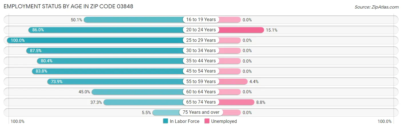 Employment Status by Age in Zip Code 03848