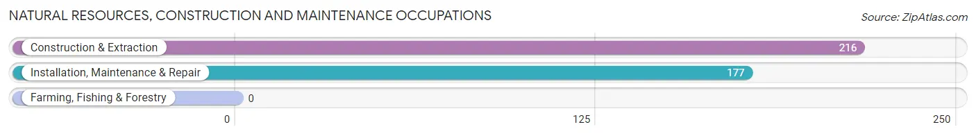 Natural Resources, Construction and Maintenance Occupations in Zip Code 03851