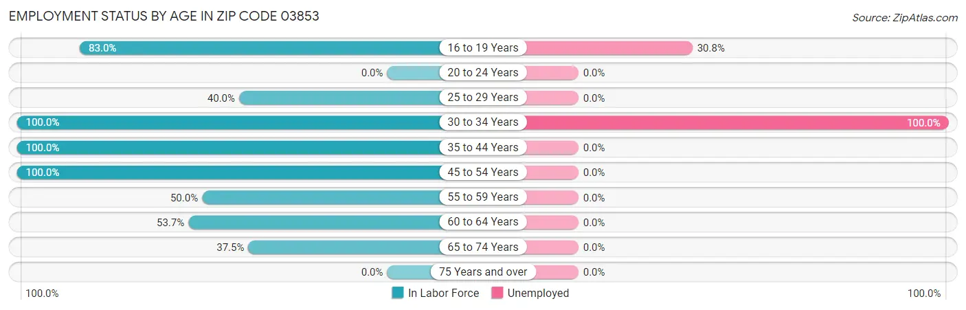 Employment Status by Age in Zip Code 03853