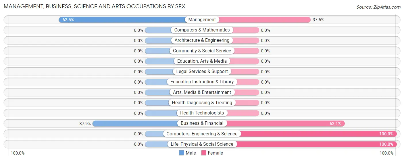 Management, Business, Science and Arts Occupations by Sex in Zip Code 03853
