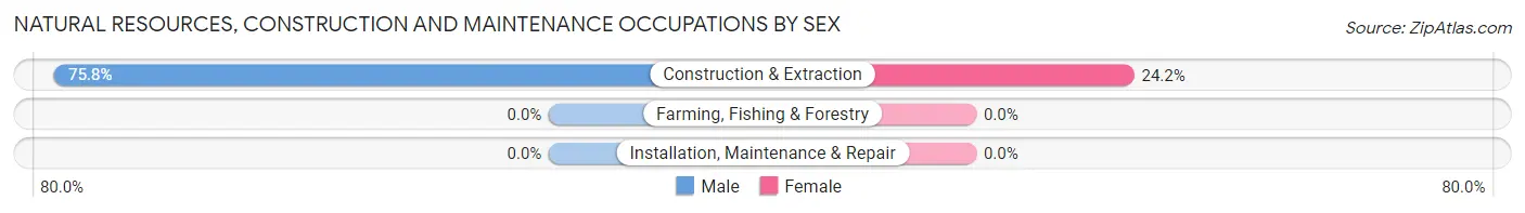 Natural Resources, Construction and Maintenance Occupations by Sex in Zip Code 03853