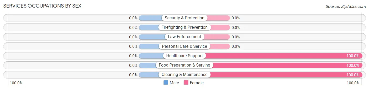 Services Occupations by Sex in Zip Code 03853