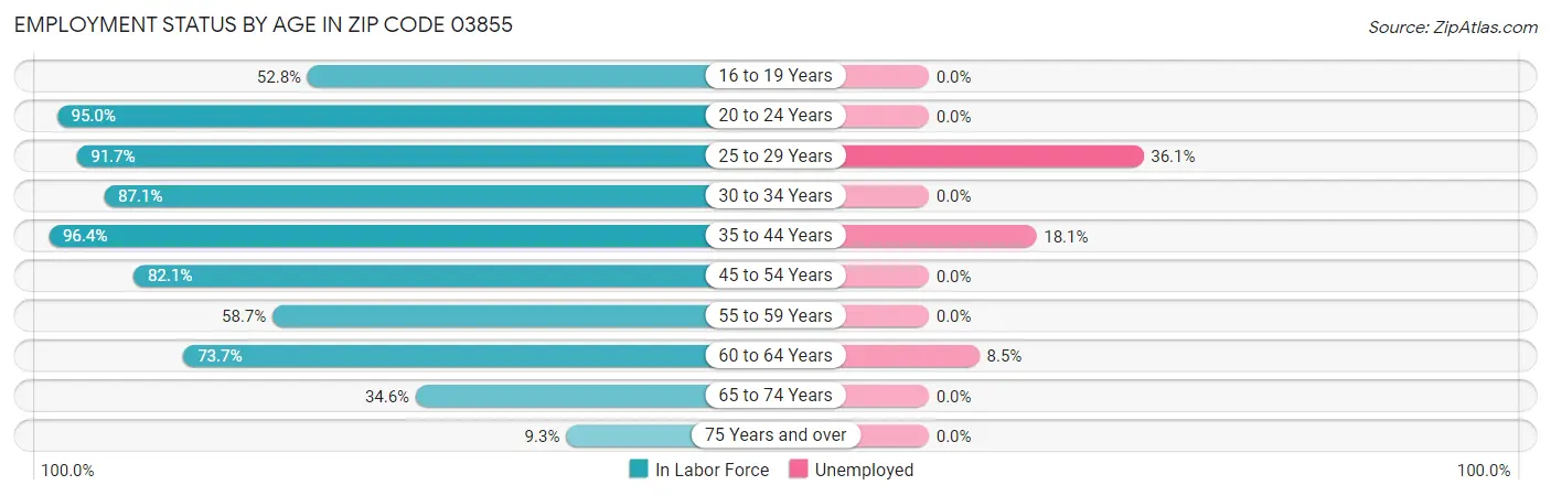 Employment Status by Age in Zip Code 03855