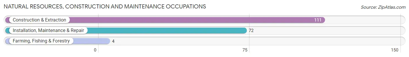 Natural Resources, Construction and Maintenance Occupations in Zip Code 03855