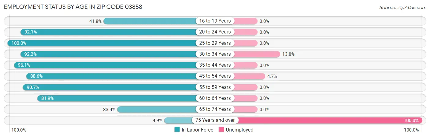 Employment Status by Age in Zip Code 03858