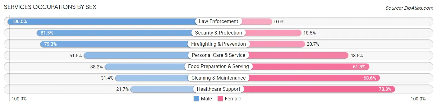 Services Occupations by Sex in Zip Code 03858