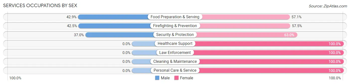 Services Occupations by Sex in Zip Code 03862
