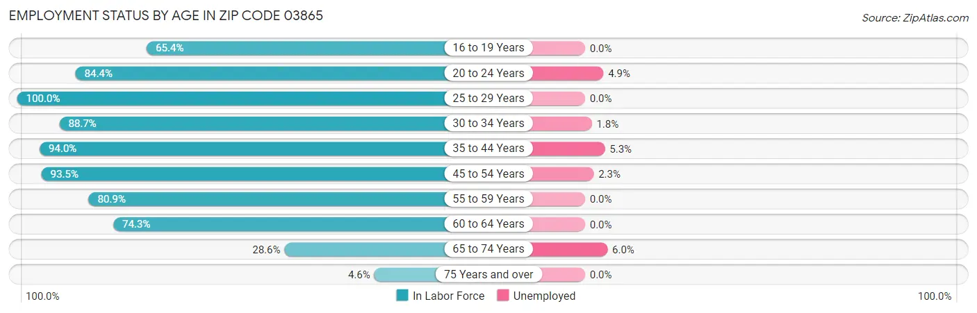 Employment Status by Age in Zip Code 03865