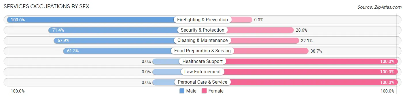 Services Occupations by Sex in Zip Code 03865