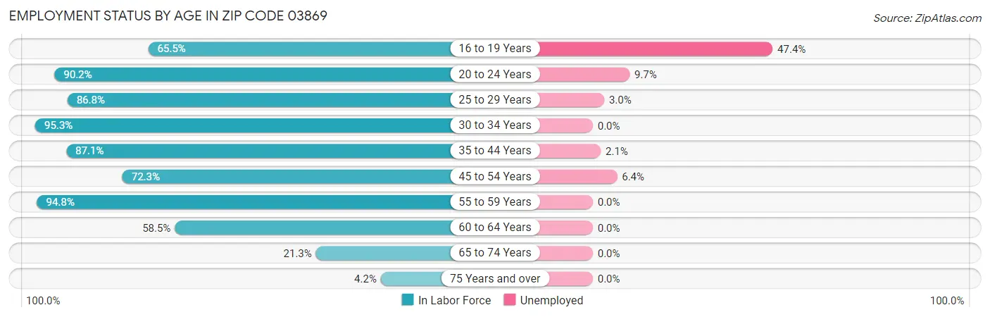 Employment Status by Age in Zip Code 03869