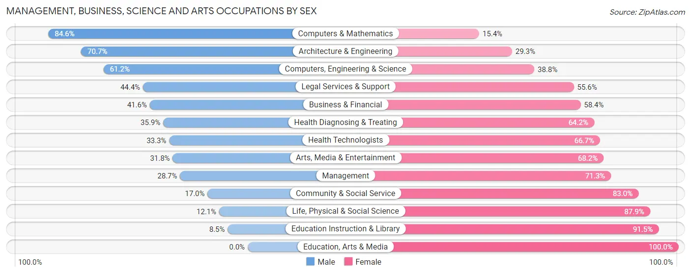 Management, Business, Science and Arts Occupations by Sex in Zip Code 03869
