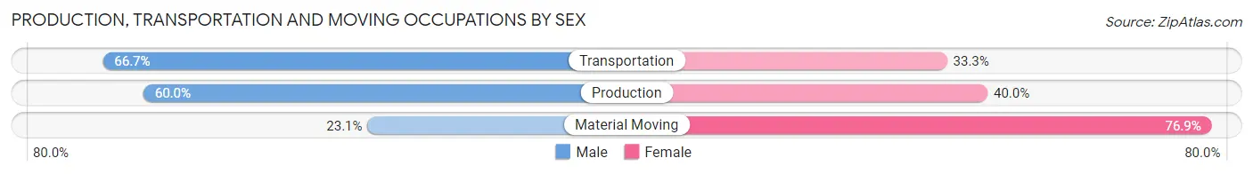 Production, Transportation and Moving Occupations by Sex in Zip Code 03869