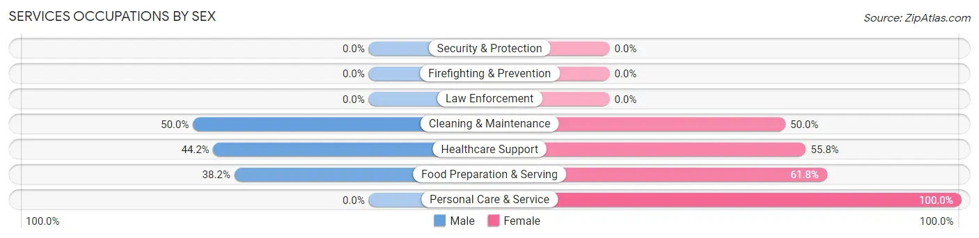 Services Occupations by Sex in Zip Code 03869