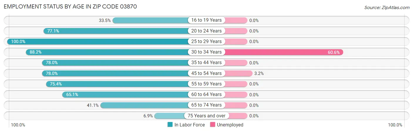 Employment Status by Age in Zip Code 03870