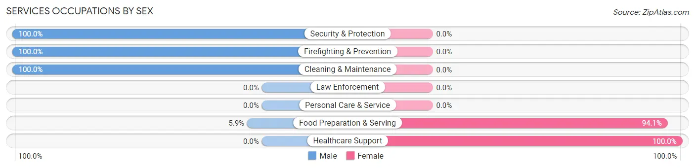 Services Occupations by Sex in Zip Code 03870