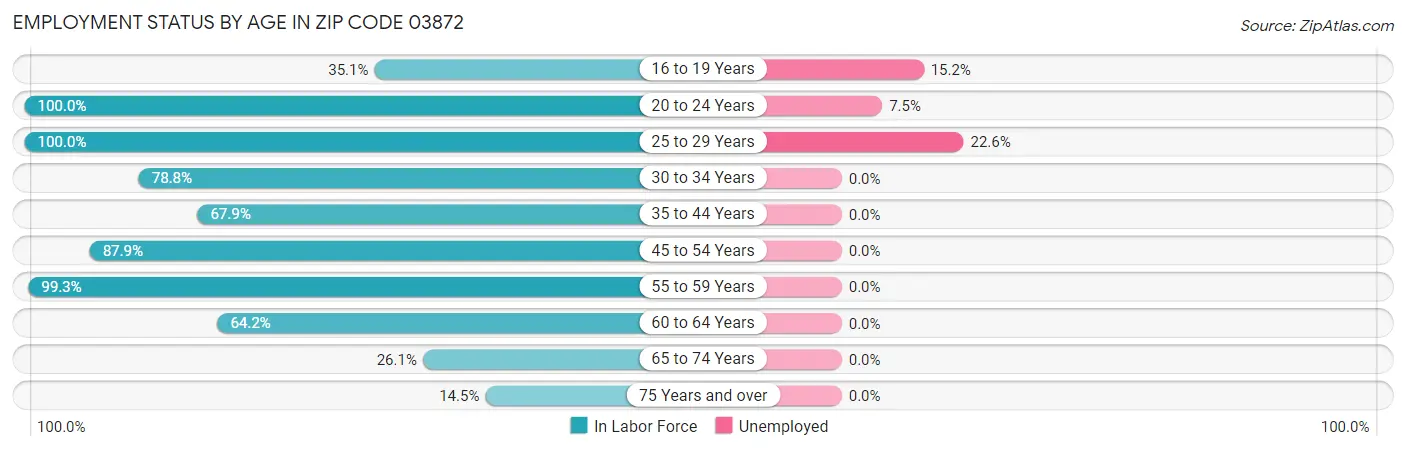 Employment Status by Age in Zip Code 03872