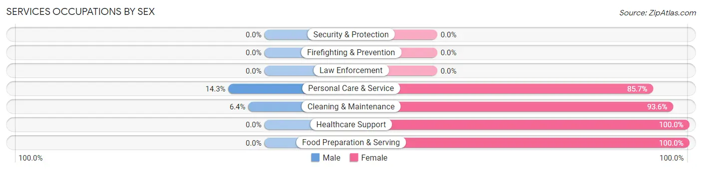 Services Occupations by Sex in Zip Code 03872