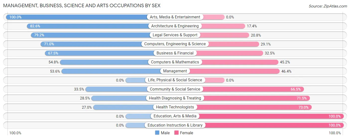 Management, Business, Science and Arts Occupations by Sex in Zip Code 03873