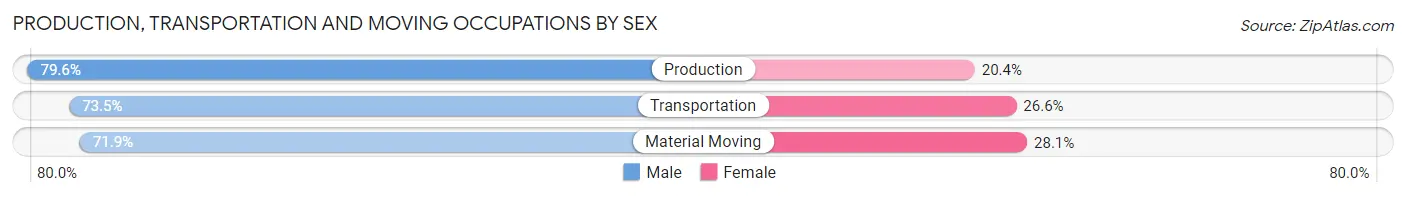 Production, Transportation and Moving Occupations by Sex in Zip Code 03873