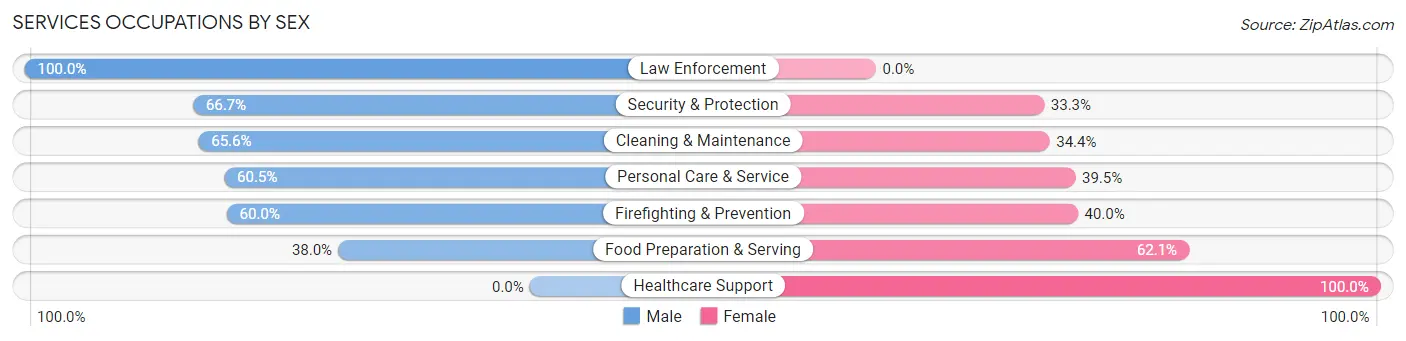 Services Occupations by Sex in Zip Code 03873