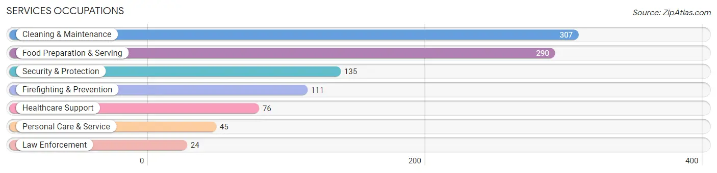 Services Occupations in Zip Code 03874