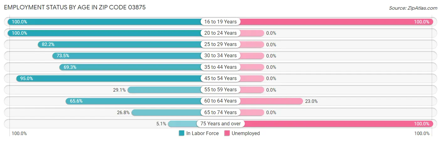 Employment Status by Age in Zip Code 03875