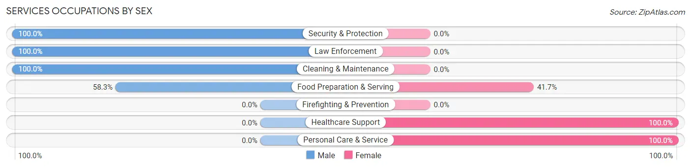Services Occupations by Sex in Zip Code 03875