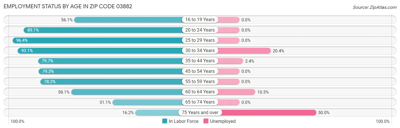 Employment Status by Age in Zip Code 03882