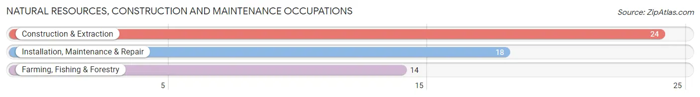 Natural Resources, Construction and Maintenance Occupations in Zip Code 03882