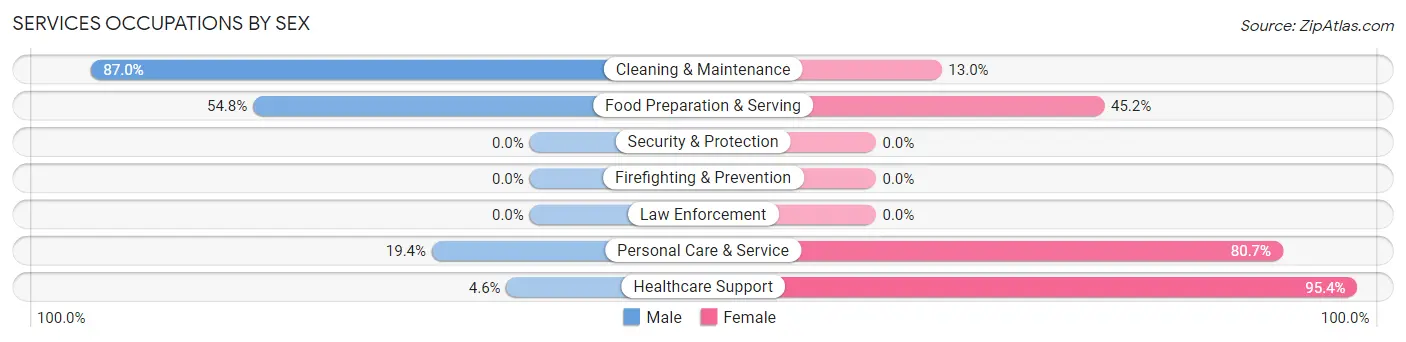 Services Occupations by Sex in Zip Code 03882