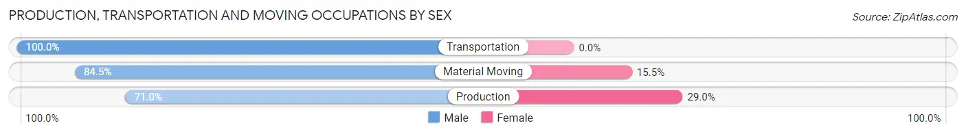 Production, Transportation and Moving Occupations by Sex in Zip Code 03884