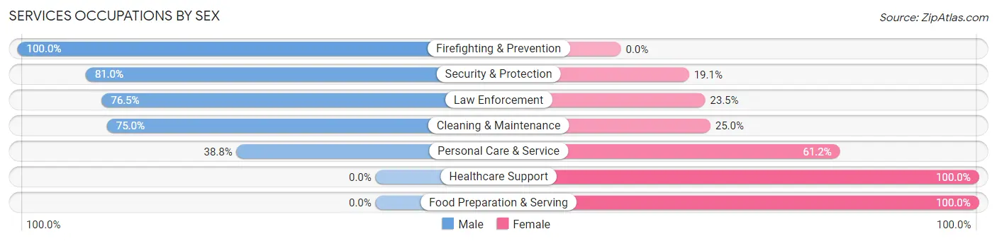 Services Occupations by Sex in Zip Code 03884