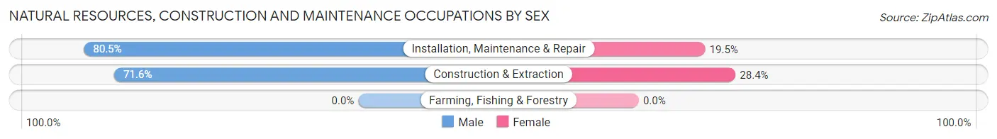 Natural Resources, Construction and Maintenance Occupations by Sex in Zip Code 03885