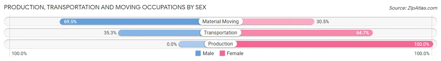 Production, Transportation and Moving Occupations by Sex in Zip Code 03885