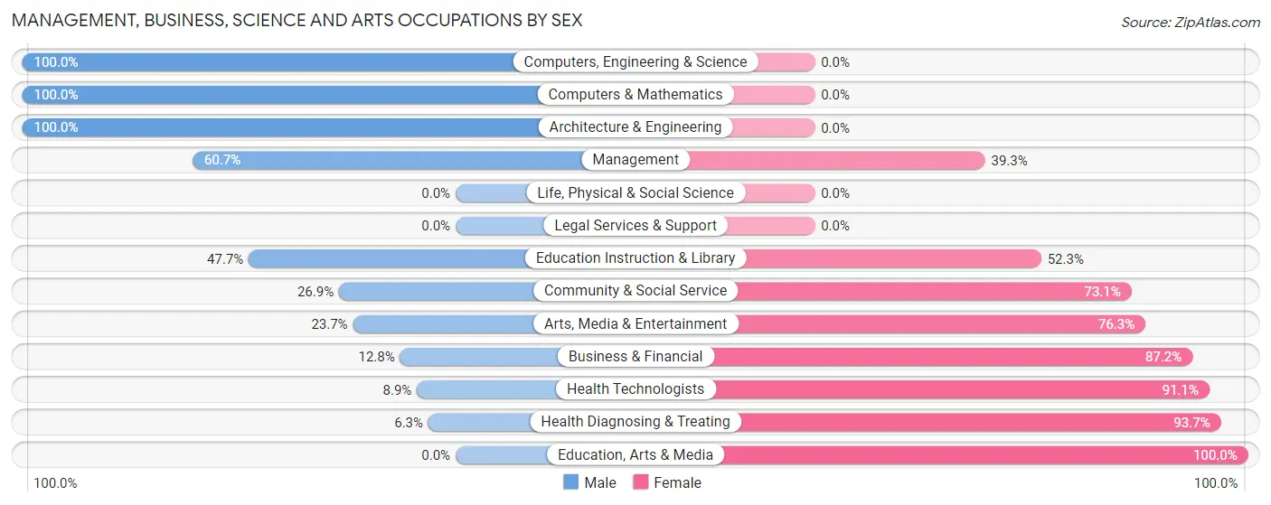 Management, Business, Science and Arts Occupations by Sex in Zip Code 03894