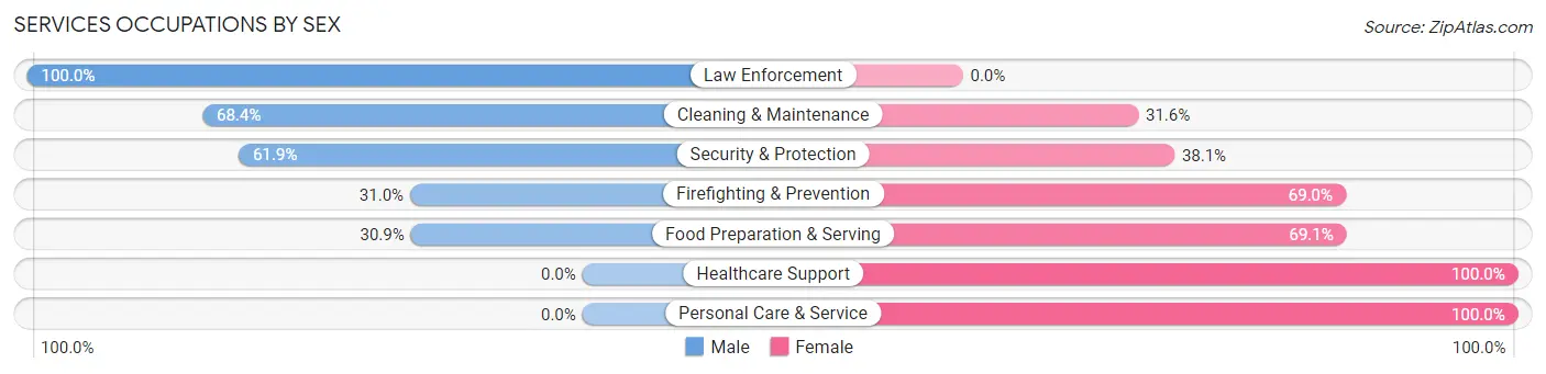 Services Occupations by Sex in Zip Code 03894