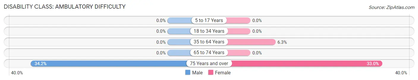 Disability in Zip Code 03902: <span>Ambulatory Difficulty</span>