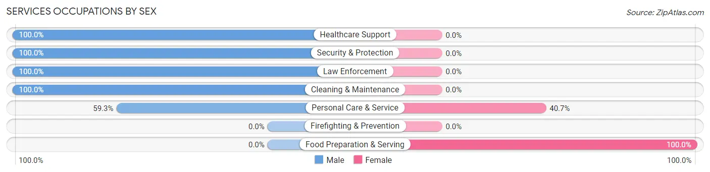 Services Occupations by Sex in Zip Code 03902
