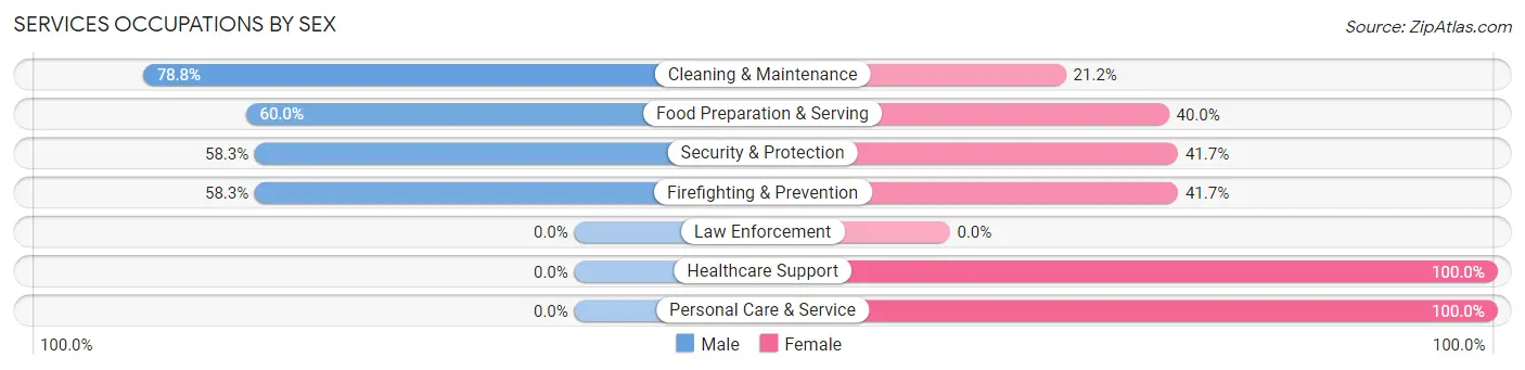 Services Occupations by Sex in Zip Code 04001
