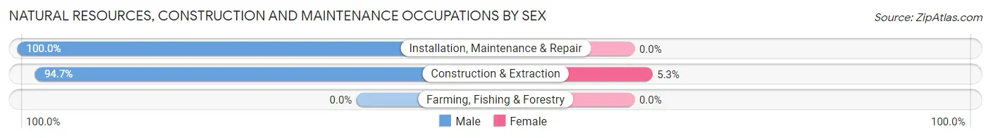 Natural Resources, Construction and Maintenance Occupations by Sex in Zip Code 04002