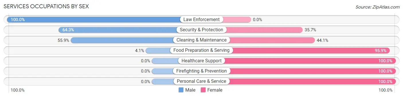 Services Occupations by Sex in Zip Code 04002