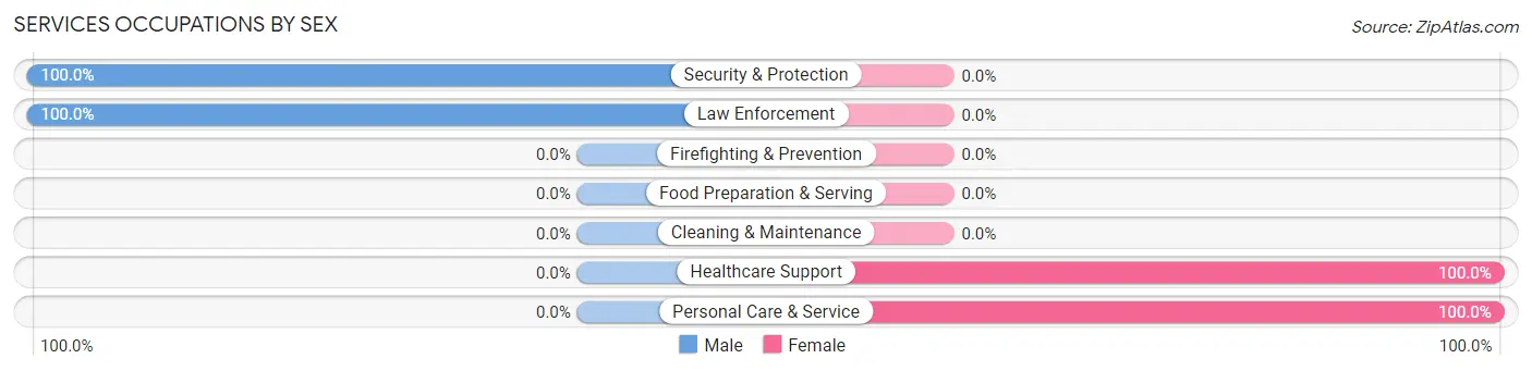 Services Occupations by Sex in Zip Code 04008