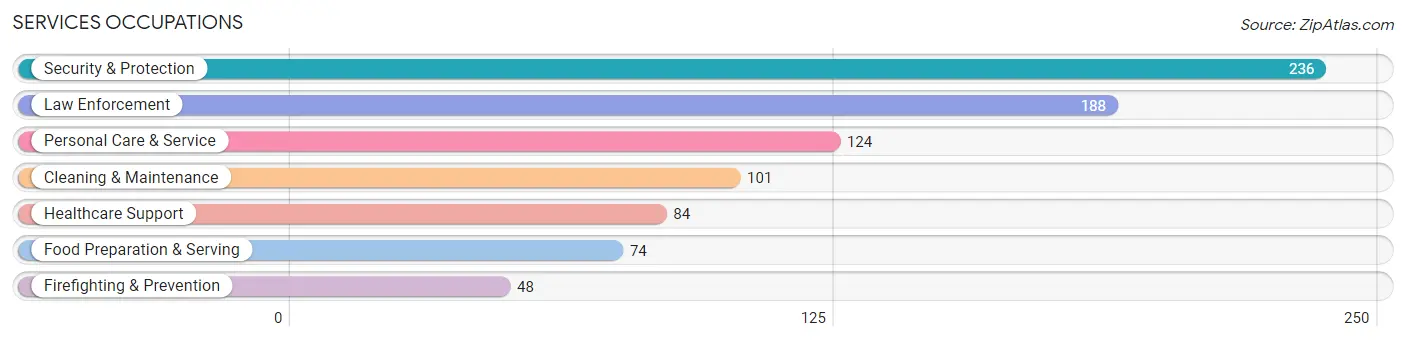 Services Occupations in Zip Code 04027