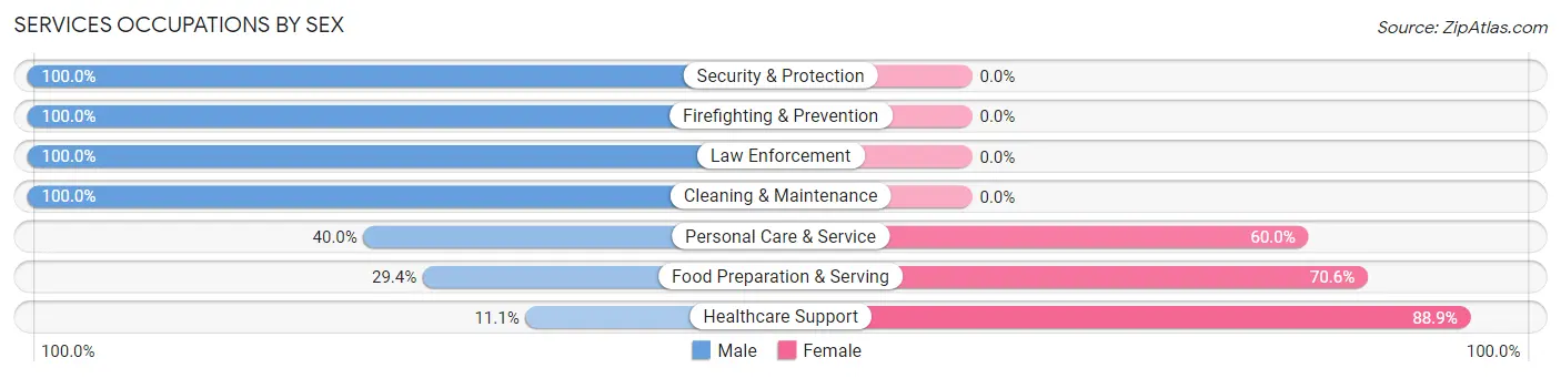 Services Occupations by Sex in Zip Code 04069