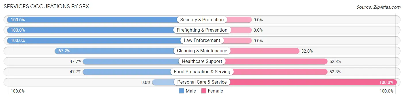 Services Occupations by Sex in Zip Code 04079
