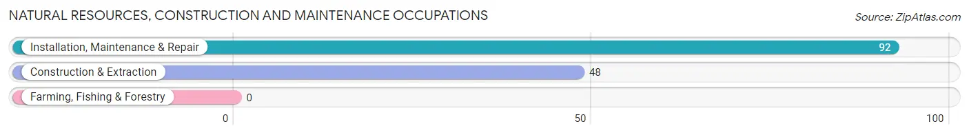 Natural Resources, Construction and Maintenance Occupations in Zip Code 04085