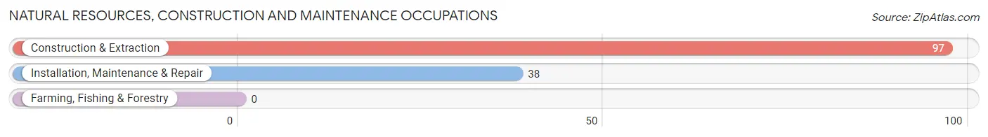 Natural Resources, Construction and Maintenance Occupations in Zip Code 04087